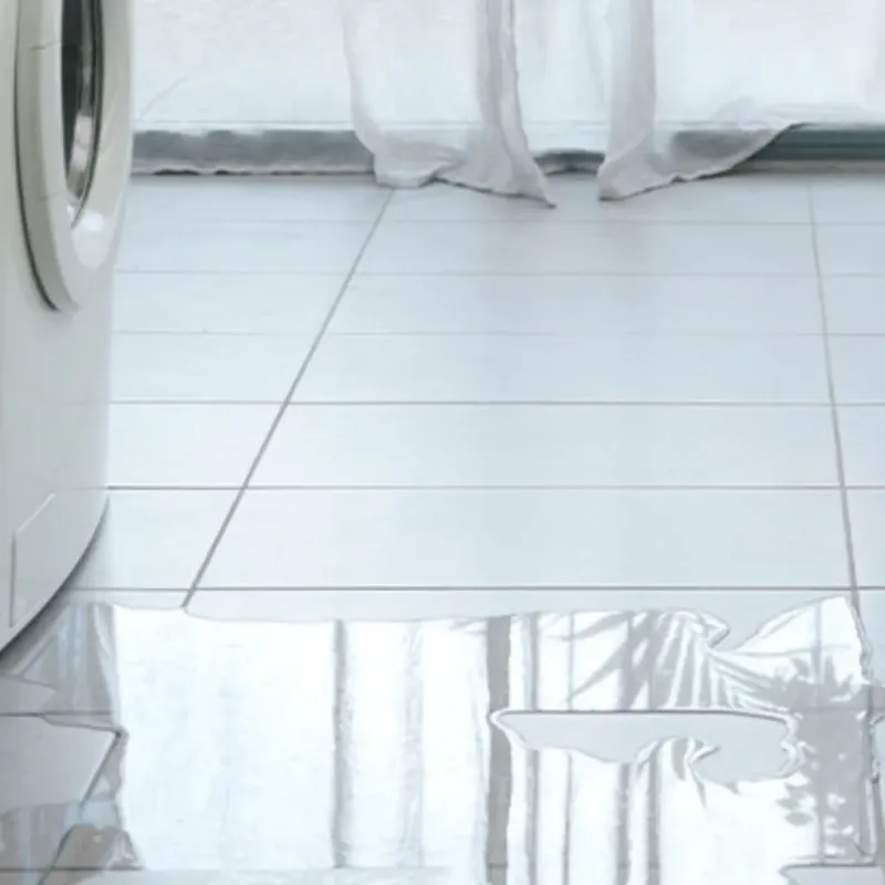 Appliance Leak Cleanup in DeFuniak Springs, FL