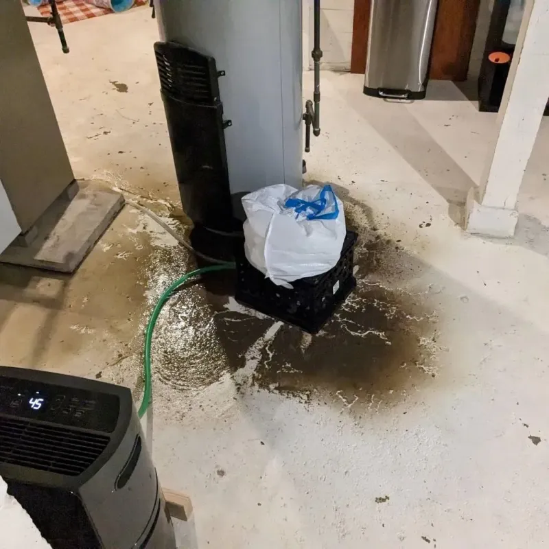 Sewage Backup Cleanup Service in DeFuniak Springs, FL